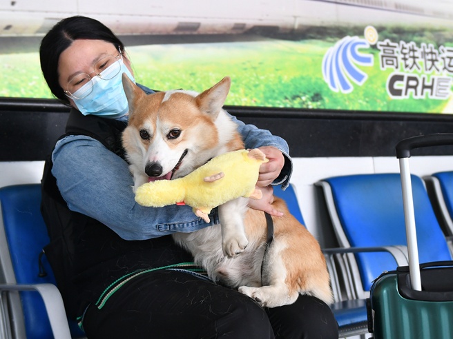“爱宠行”便利宠物出行