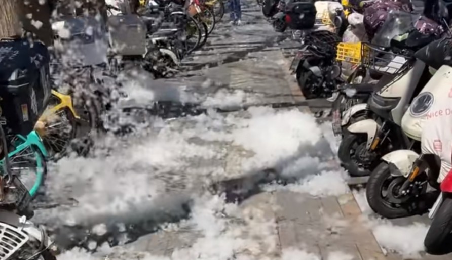 又到一年飘絮盛飞期！春季过敏如何防护？