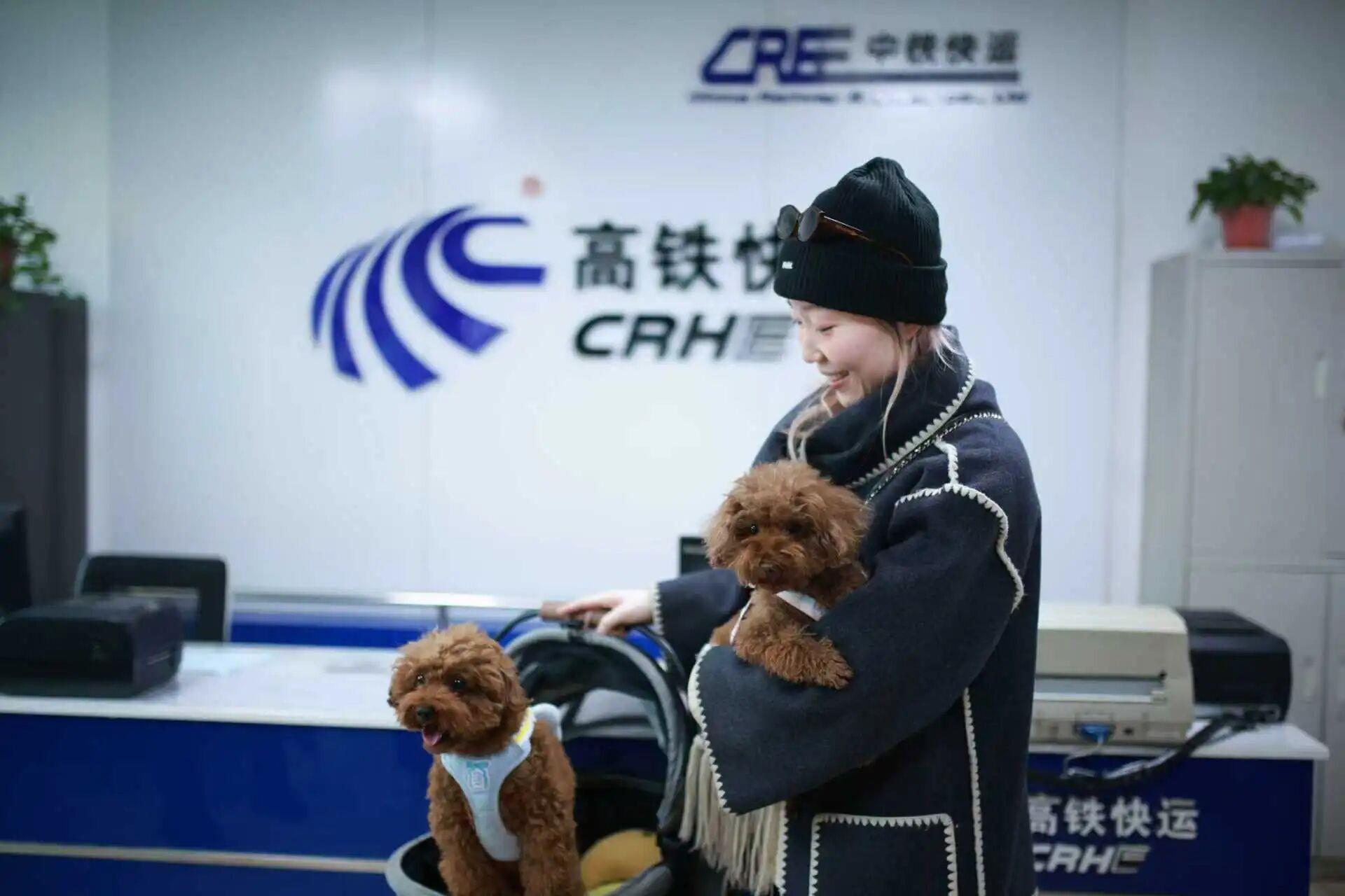 宠物能独自“坐”高铁吗？官方讲解来了！
