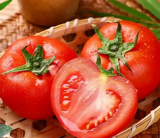 西安市将筹备组建番茄产业创新联盟