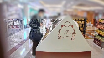 情侣利用店铺展示漏洞偷走上千个玩偶 涉案近3万元被刑拘