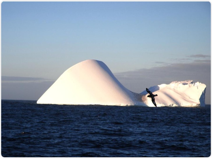 极地专家谈世界最大冰山崩解：这是一个严肃的提醒