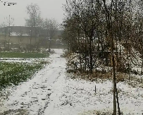 陕西咸阳铜川等地四月为何飘雪 气象专家解析雨转雪成因