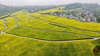 农业农村部：一季度我国粮油生产基础较好