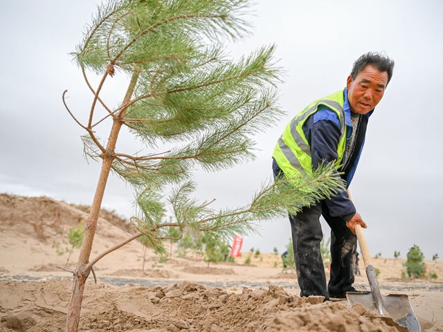 绿润丝路 沙海生金——全球荒漠化治理的中国智慧