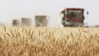 农业农村部报告：预测2026年粮食单产提高到400千克每亩