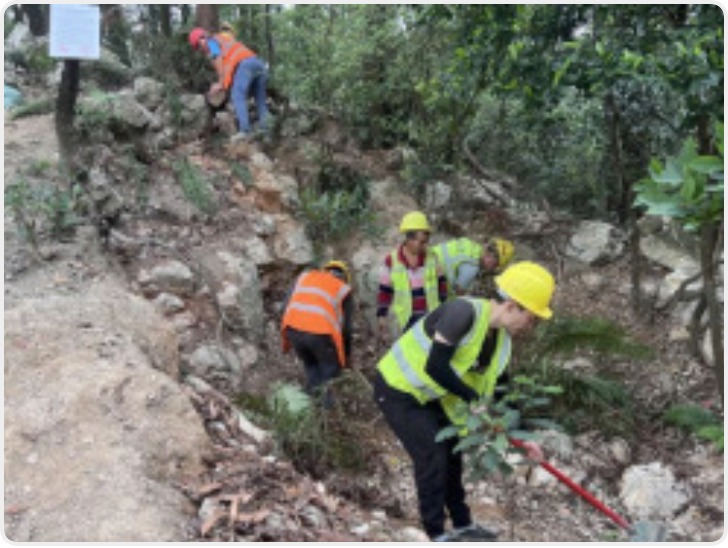 广州黄埔通报“暹岗大山被挖水晶”：完成回填和植被恢复