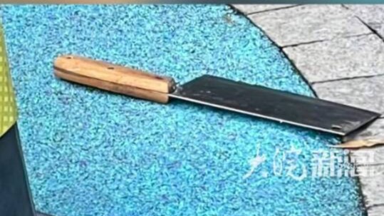 成都一小区菜刀从天而降 砸在游乐区 警方：嫌疑人已被刑拘