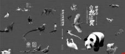 『翻开科学』！这个四月，让好奇心领读