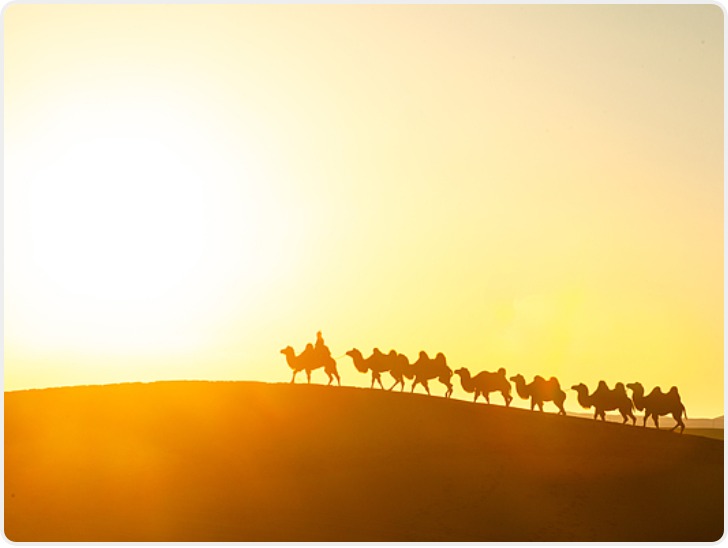 陕西一季度外贸增速何以领跑全国？