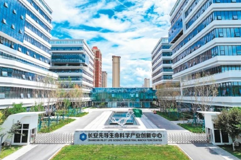 丝路起点的“市长之约”