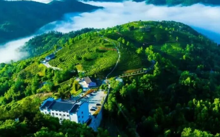 奔赴三秦·自在五一游｜畅玩平利 超全攻略来啦