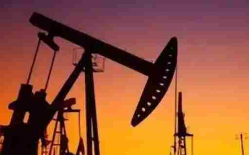 阿联酋为什么退出欧佩克及“欧佩克+”