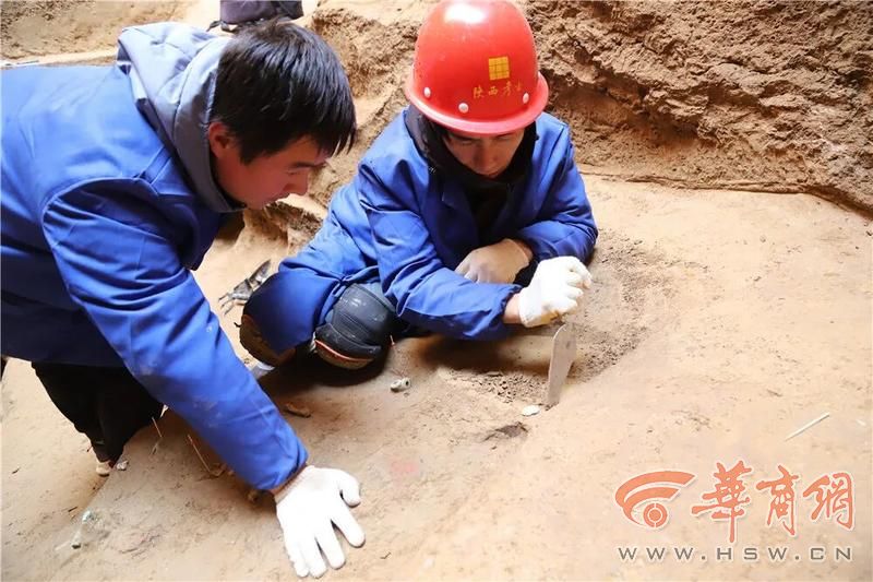 墓葬清理.jpg