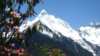 德钦梅里雪山发布通告：禁止在景区未开放线路区域旅游