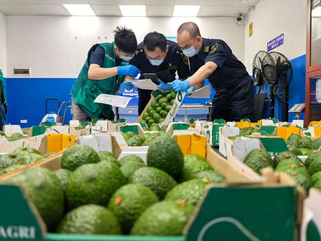 财经聚焦丨零关税助力非洲好物拥抱中国大市场