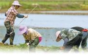 我国创新举措摸清农业气候家底