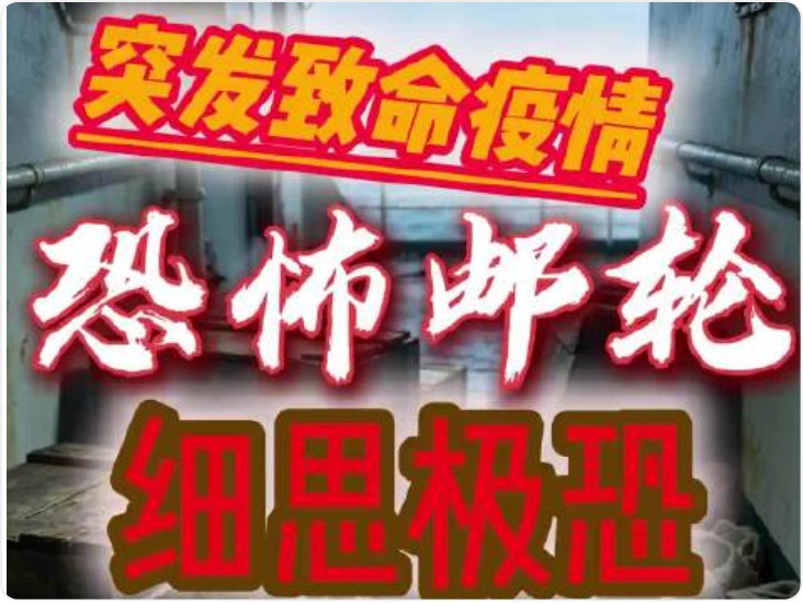 大西洋邮轮感染增至8人 汉坦病毒是什么？风险到底有多大？