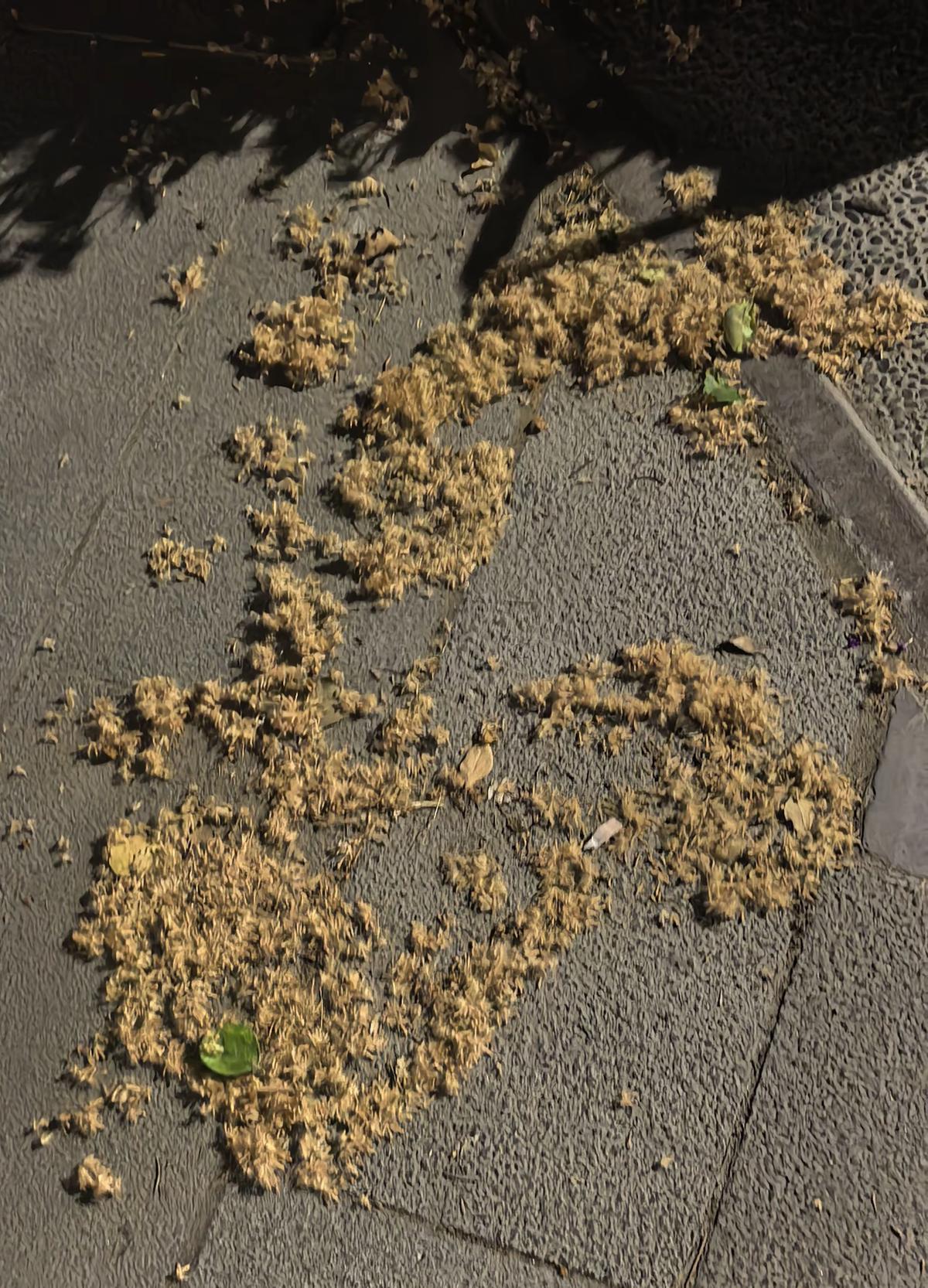 微信图片_20260510122111_695_408.png