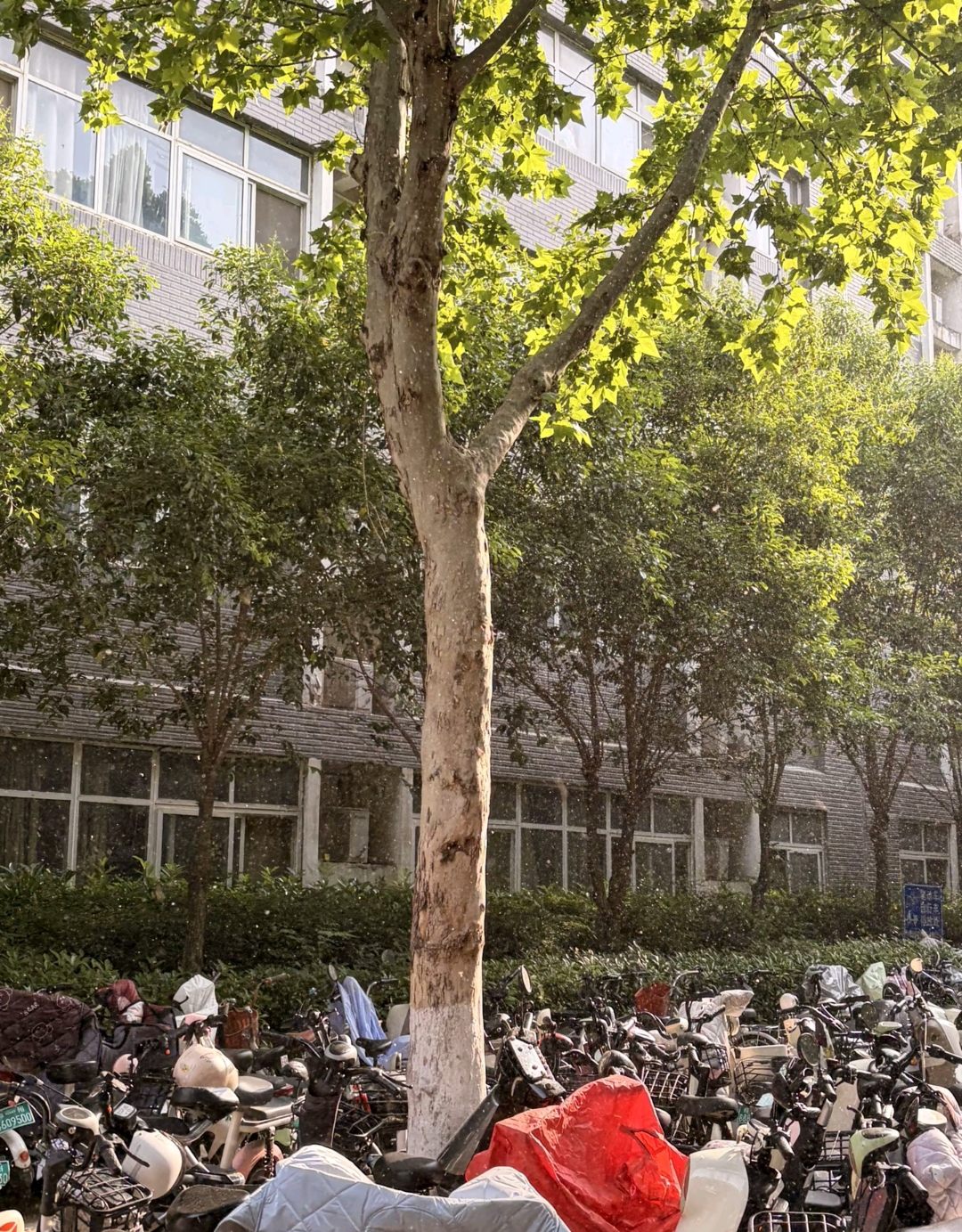 微信图片_20260510122110_694_408.jpg