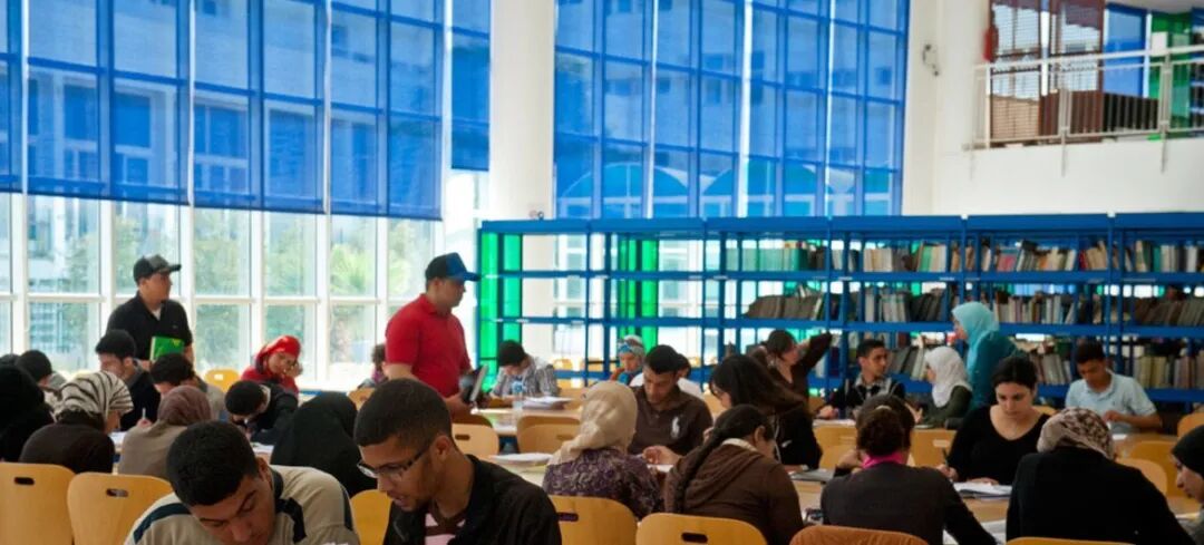 学生在一所大学的图书馆学习。