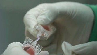 中国空间站首次人类“人工胚胎”实验进展顺利