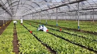 我国首款RNA农药获批登记填补行业空白