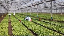 我国首款RNA农药获批登记填补行业空白