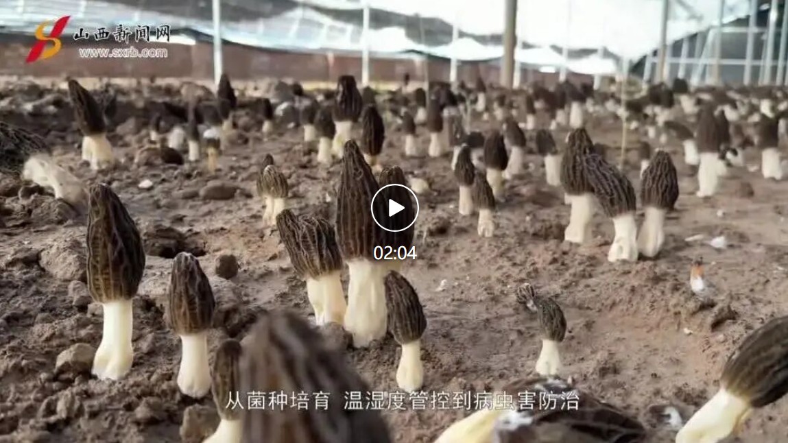 360截图20260515145728868.jpg