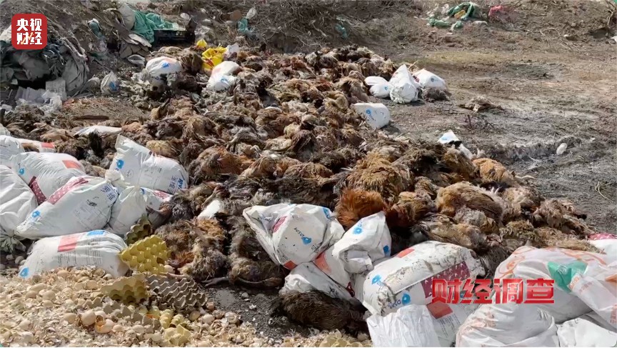 恶臭弥漫、垃圾围村 央视曝光多地违法倾倒乱象-社会新闻_华商网新闻