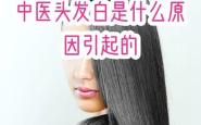 长白头发不是因为老，是你太累了!