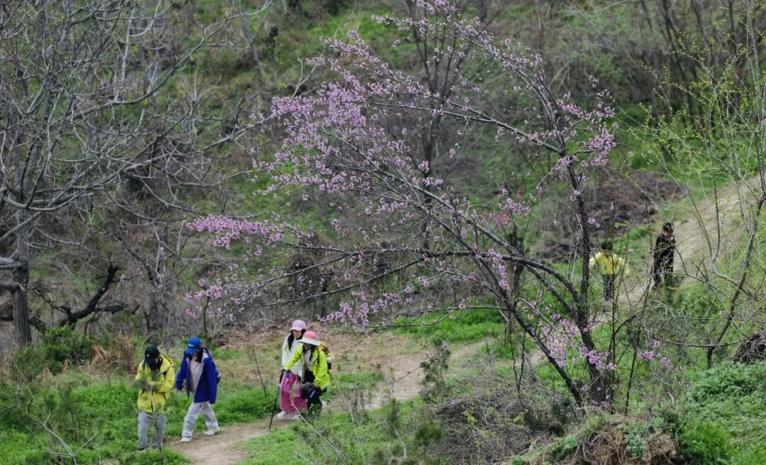 西安公布11条合规合法徒步登山路线(图13)
