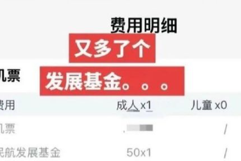 网友称买机票发现多了个“民航发展基金” 业内人士回应