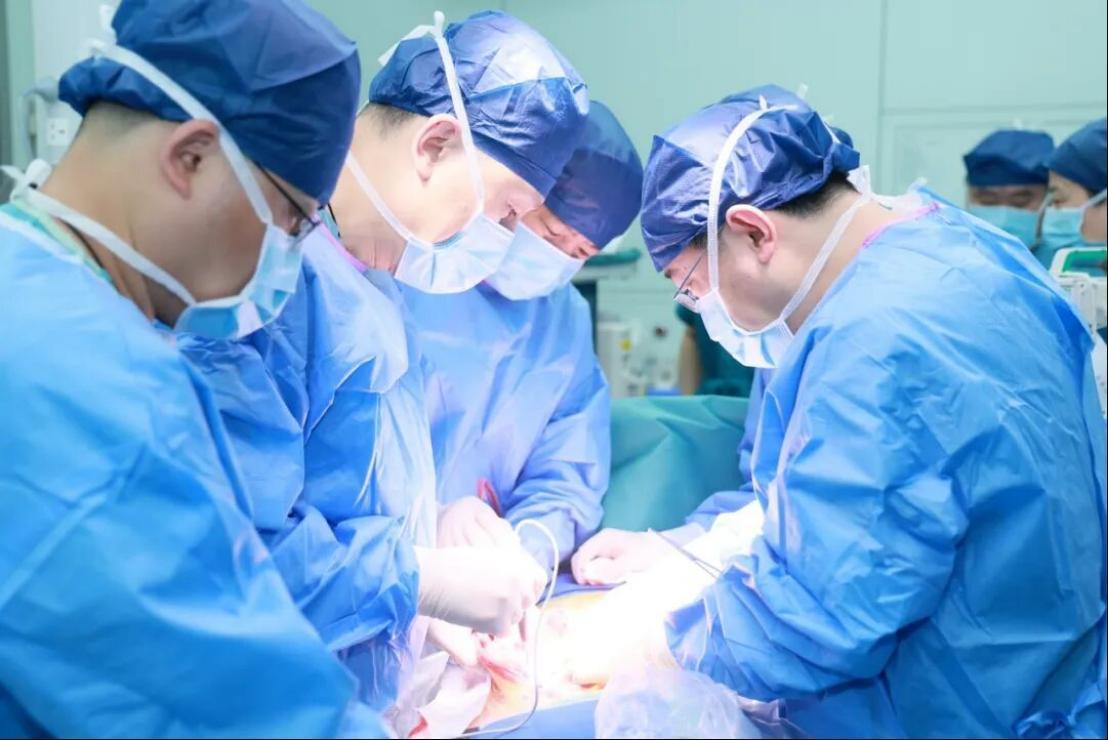 从首例到可复制：亚洲第二例异种肾移植在西安成功