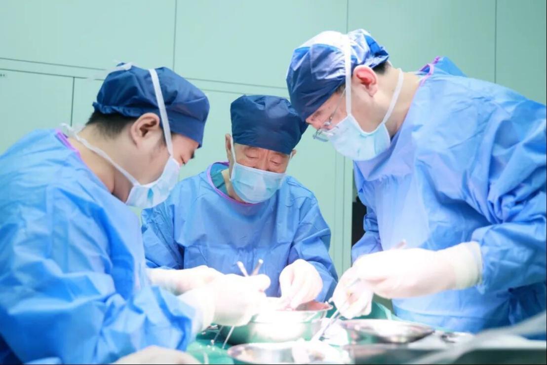 从首例到可复制：亚洲第二例异种肾移植在西安成功