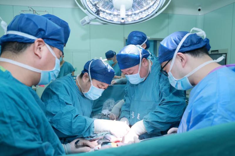 从首例到可复制：亚洲第二例异种肾移植在西安成功