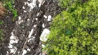近海生态监管不力！北海红树林大面积死亡 钦州养殖场私设管道偷排