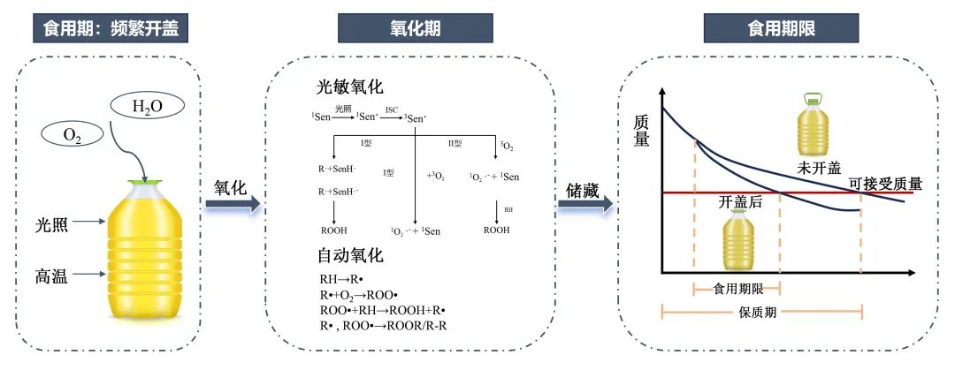 “食用油开封两个月变质”是真的吗？