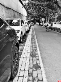 市民反映多路段人行道被占