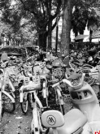 市民反映多路段人行道被占