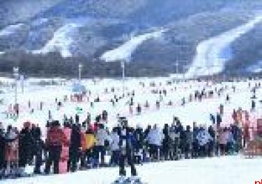 秦岭深处绘新篇 太白答卷写华章