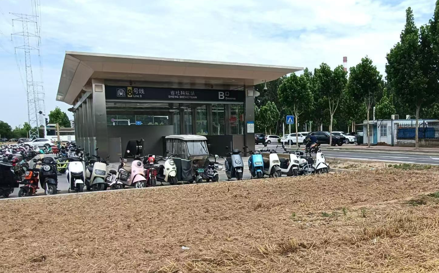地铁站绿化带变身“麦田”？专家：需明晰空间规划定位