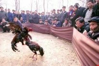记录古城变化 定格百姓生活