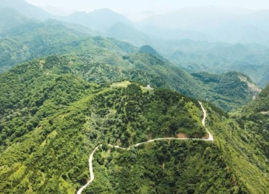 秦岭蝶变：筑牢生态屏障 绘就富民新篇