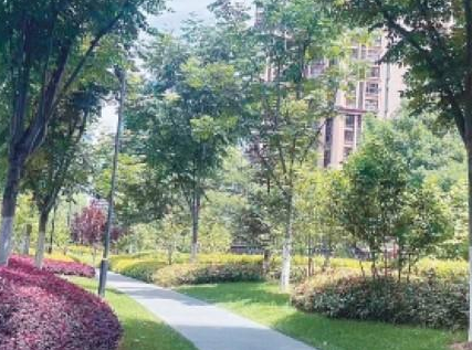 这个公园美得很 没有公厕不方便 