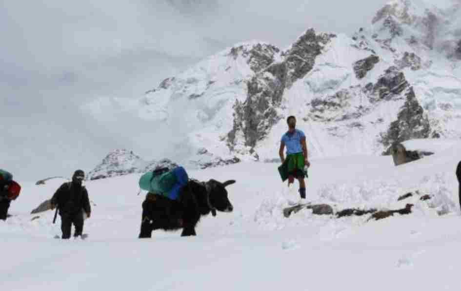 52岁尼泊尔向导珠峰失联一周奇迹生还 啃冰块顽强求生