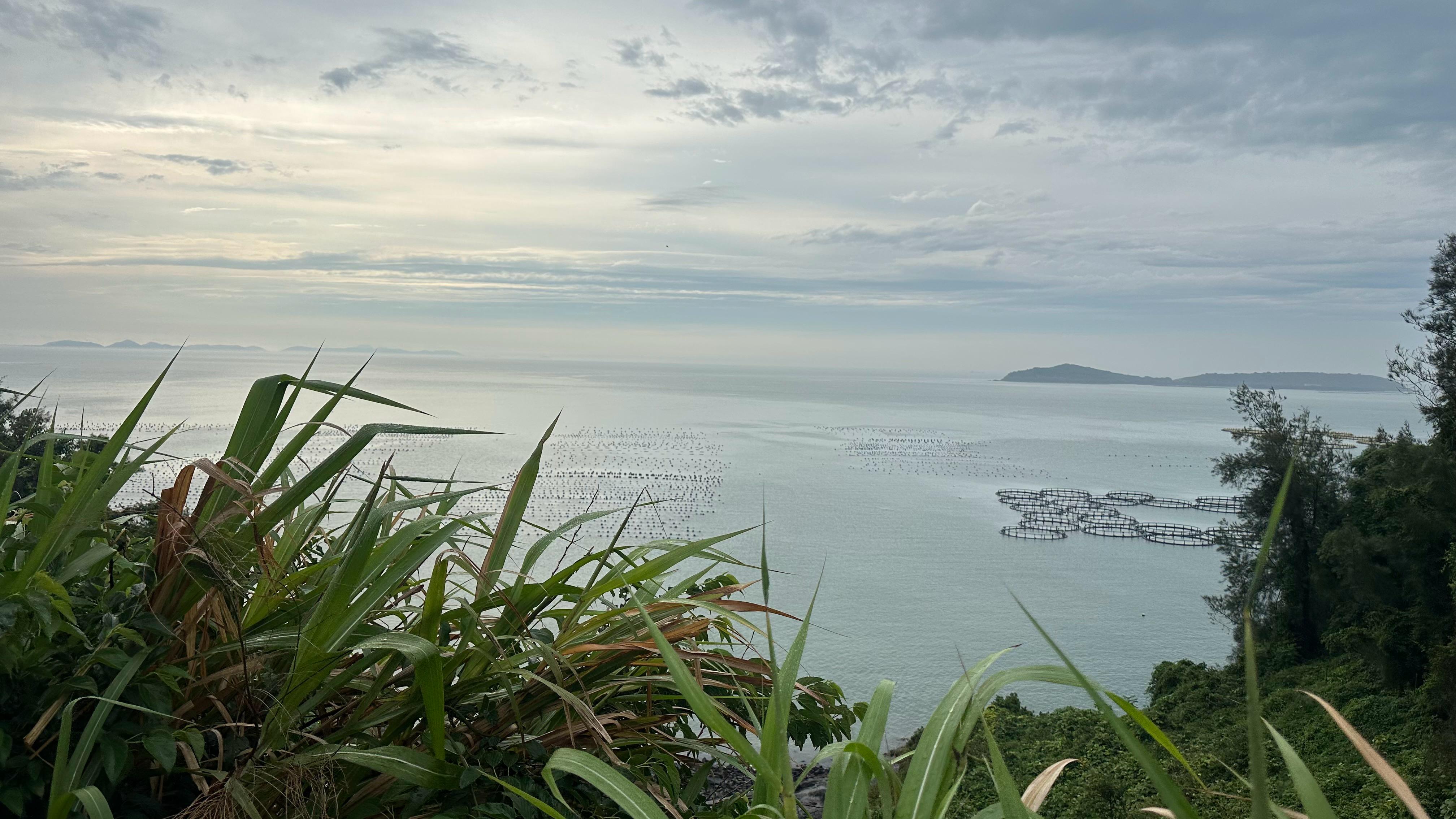 大陈岛海边。人民网记者 王绍绍摄