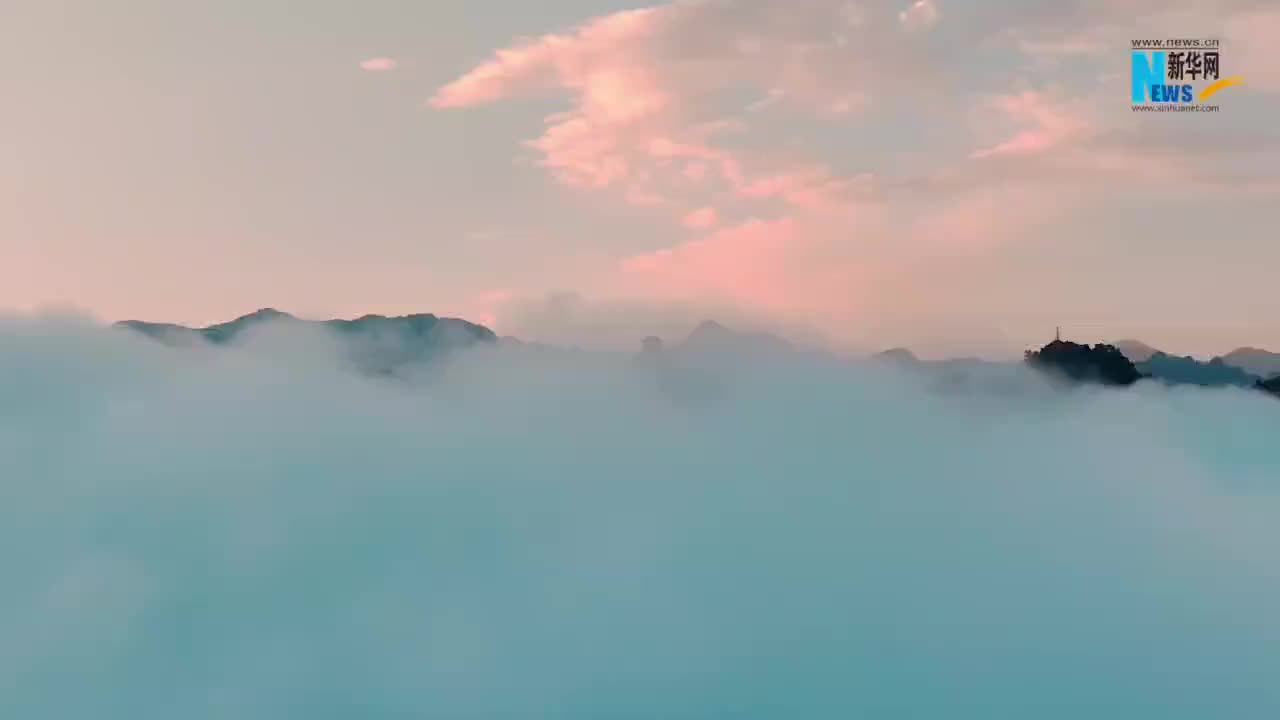 【短视频】赴秦岭之约 阅生态答卷