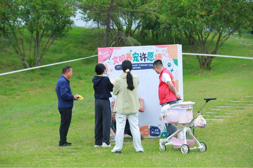 jqSViy195jPHZLiB.jpg 图片7.jpg