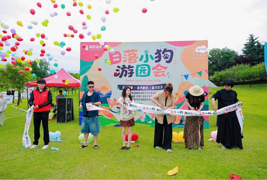 lSf9wP7Nxp9P3d3n.jpg 图片4.jpg